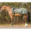 QHP Turnout Collection Fleece Lined Exercise Sheet - Botanista